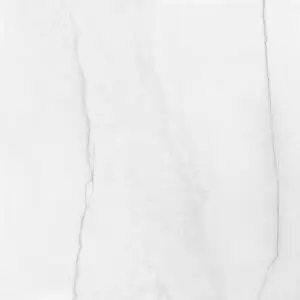 Odda gris